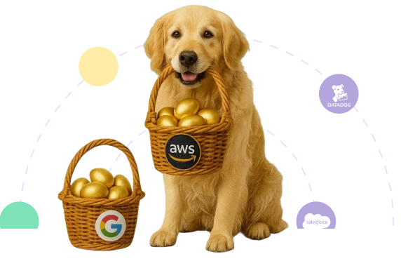 Dog with company logos